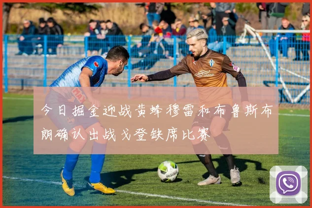 今日掘金迎战黄蜂穆雷和布鲁斯布朗确认出战戈登缺席比赛